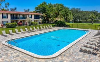 Sunlit swimming pool